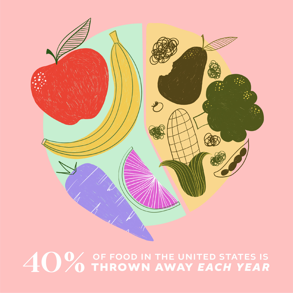 Food waste infographic
